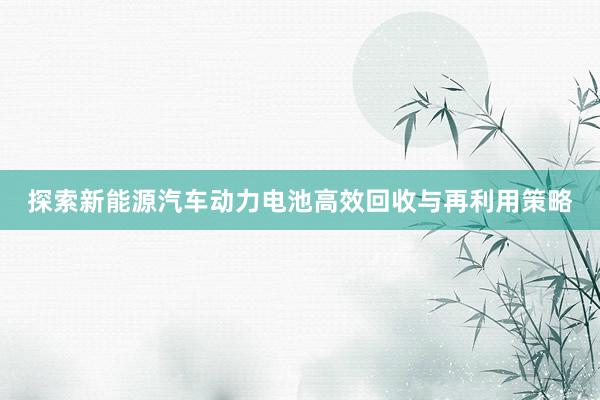 探索新能源汽车动力电池高效回收与再利用策略